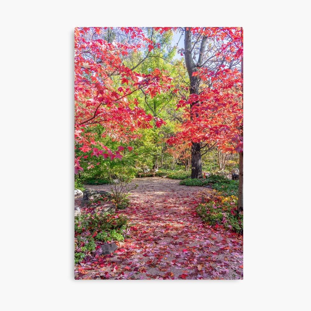 Autumns Sweetest Seasonsigh Fall Trees Autumn Trees Leaves – Poster ...