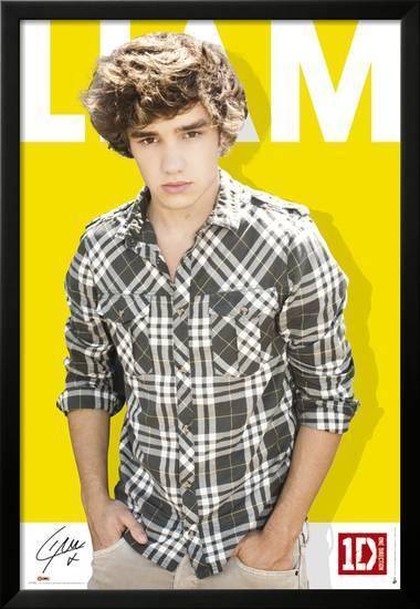 One Direction-Liam-Colour – Poster - Canvas Print - Wooden Hanging ...