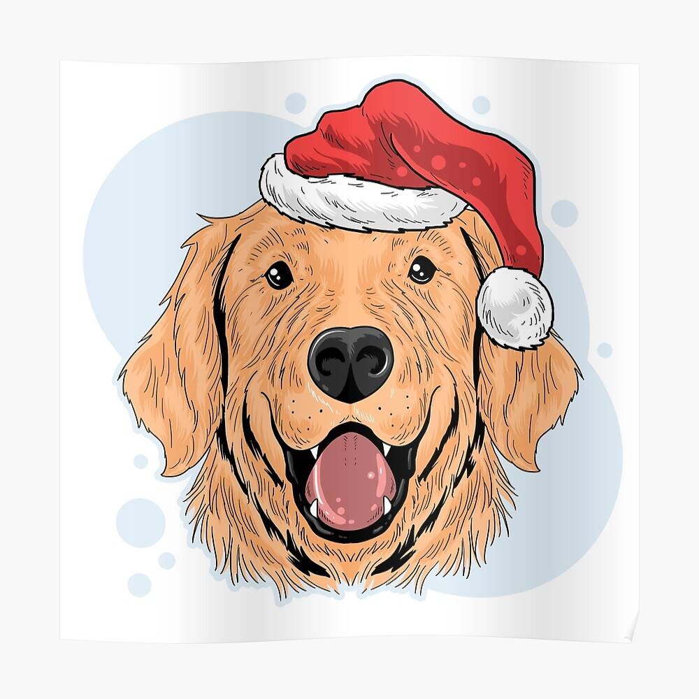 Christmas Labrador Labrador Retriever Animal Breed Christmas Holiday ...