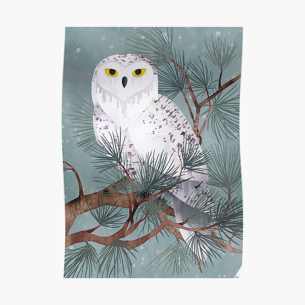 Snowy Snowy Owl Ice Winter Pine – Poster - Canvas Print - Wooden ...
