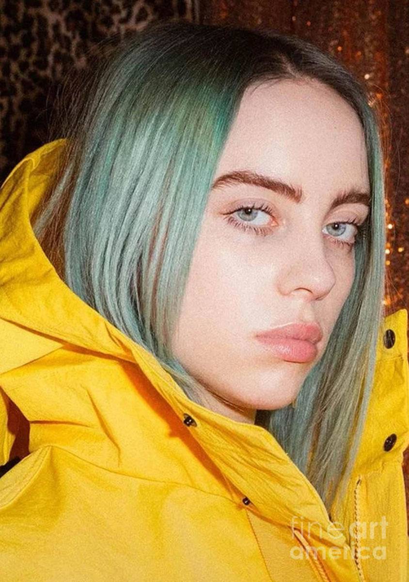 Billie Eilish – Poster - Canvas Print - Wooden Hanging Scroll Frame ...