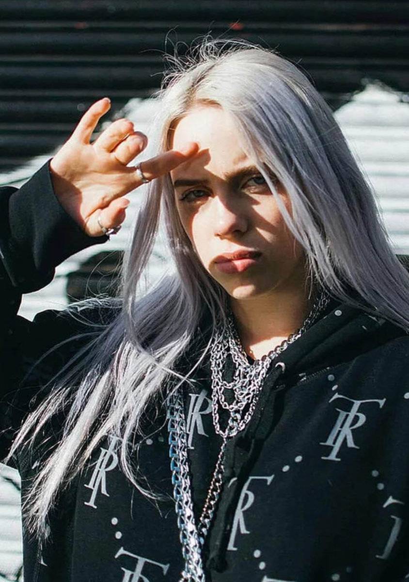 Billie eilish poster - holdenomg