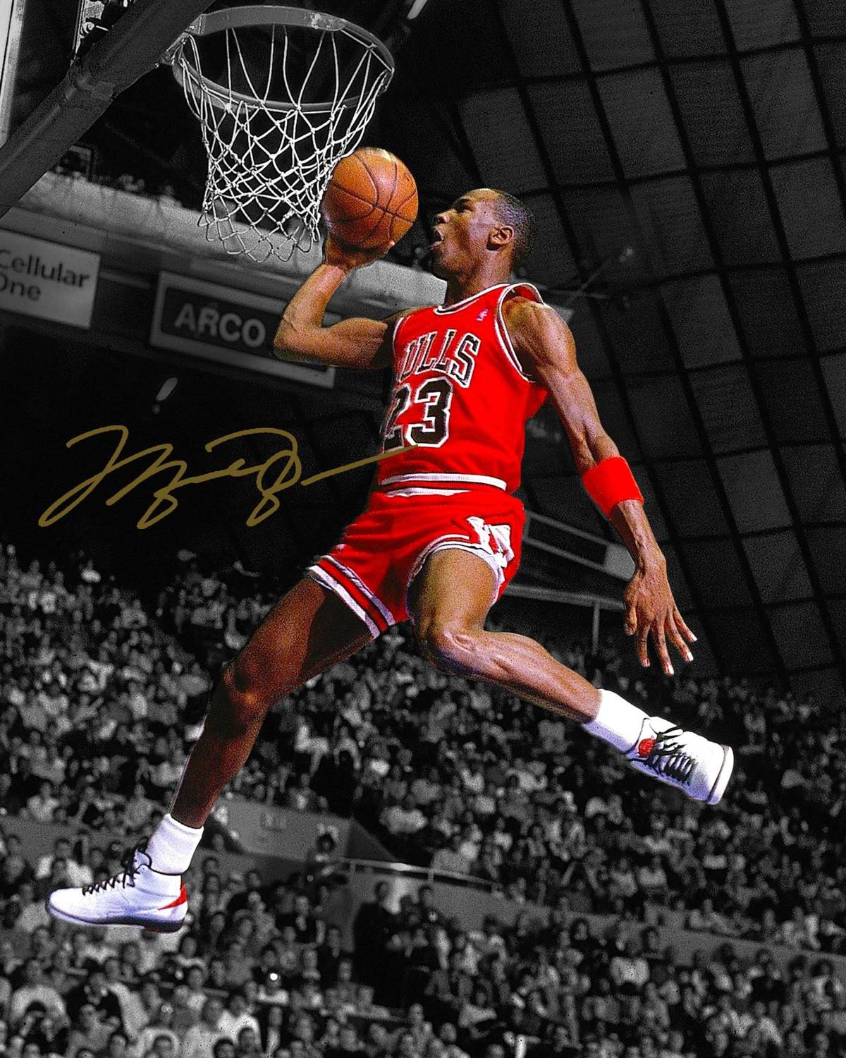 Michael Jordan Printable Pictures